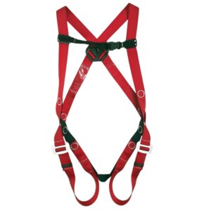 Arnés A01S Accesus